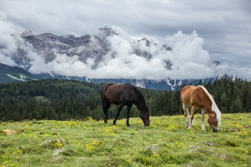 Mountain Peak